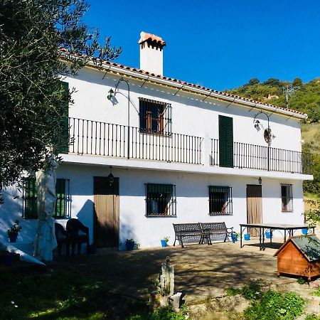 Cortijo Arroyo Del Moro Villa Gaucín Exterior photo