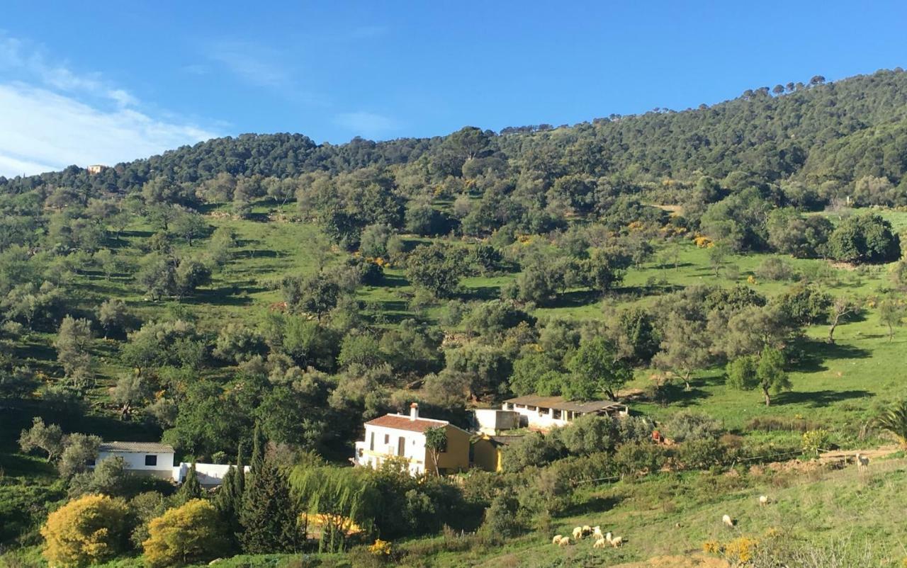 Cortijo Arroyo Del Moro Villa Gaucín Exterior photo